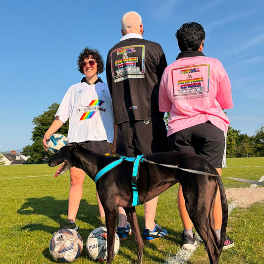 Football v Homophobia, Biphobia, Transphobia Boxy Soccer Jersey